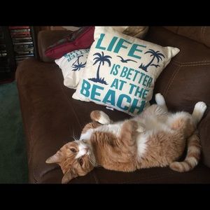 Meet your Posher, Jana